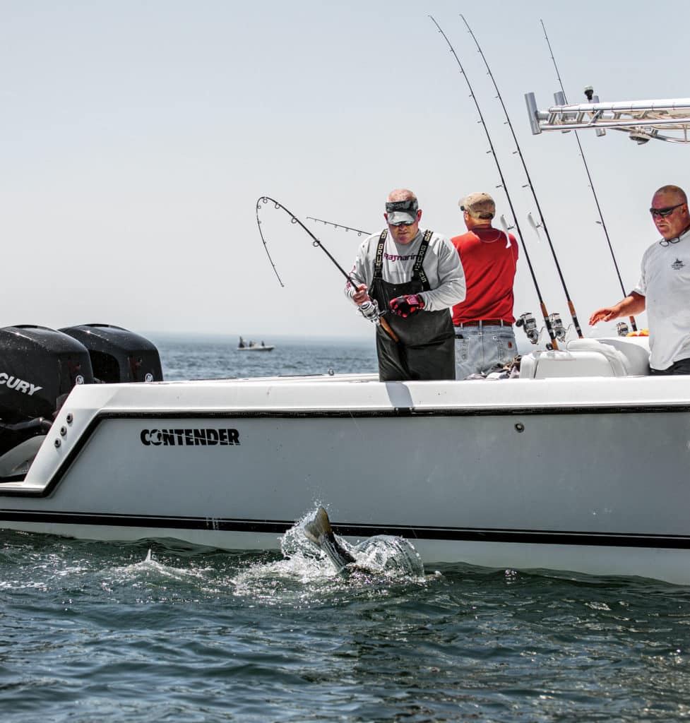 Striped bass next to boat