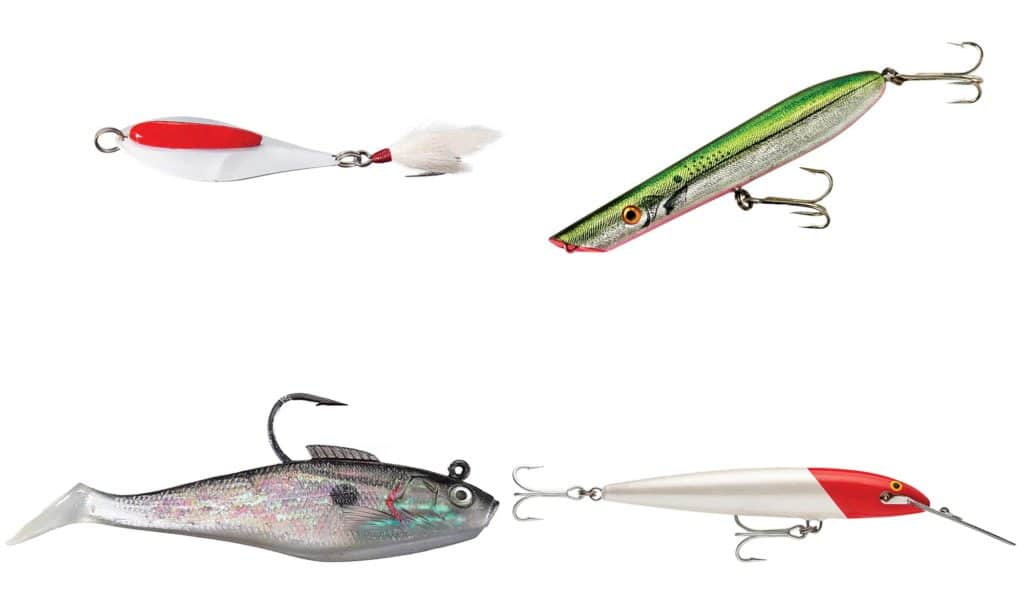 Top striped bass baits