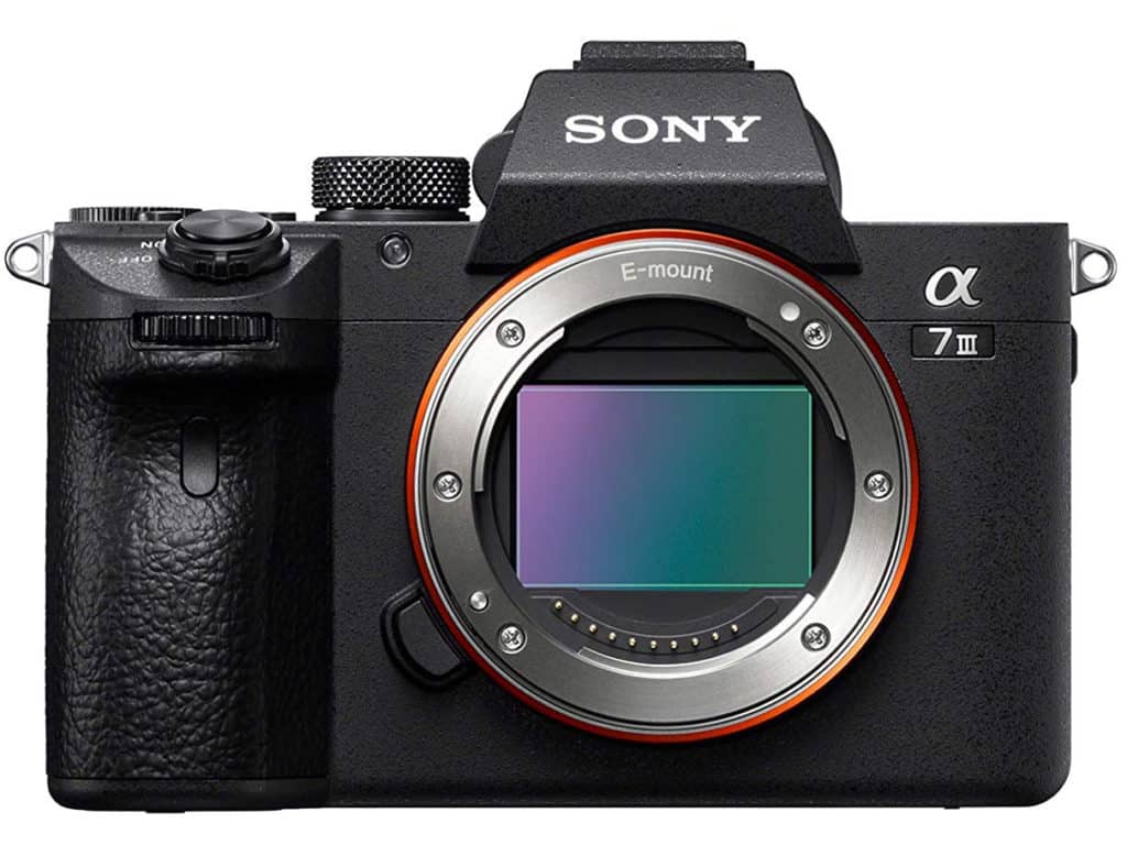 Sony mirrorless camera