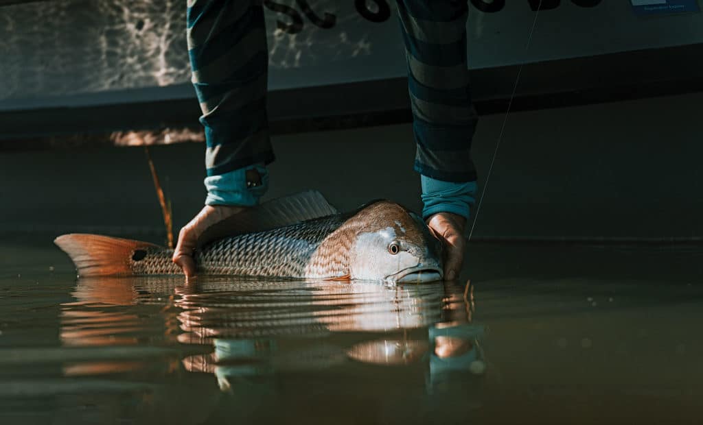 Redfish caught in a deeper hole