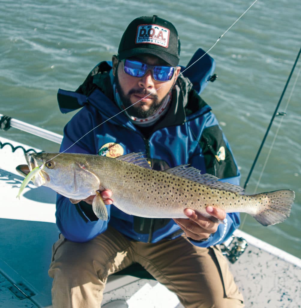 Speckled trout caught using jerkbait