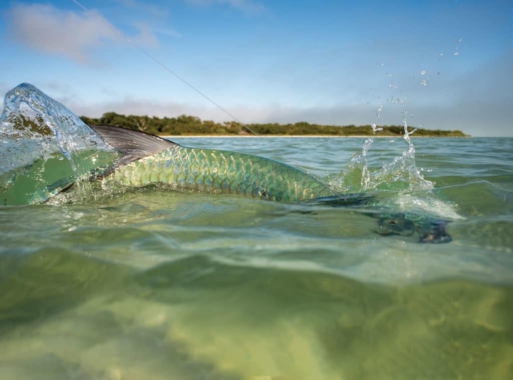 The Best Where-To & How-To Fishing Info In The State - Florida Sportsman