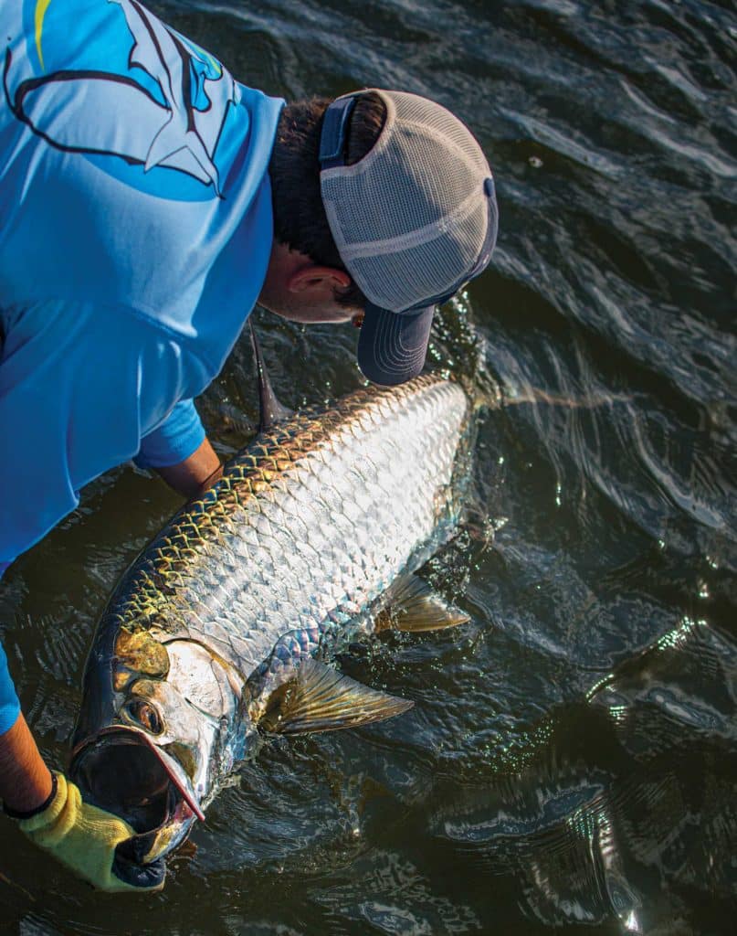 Large tarpon caught along the beach