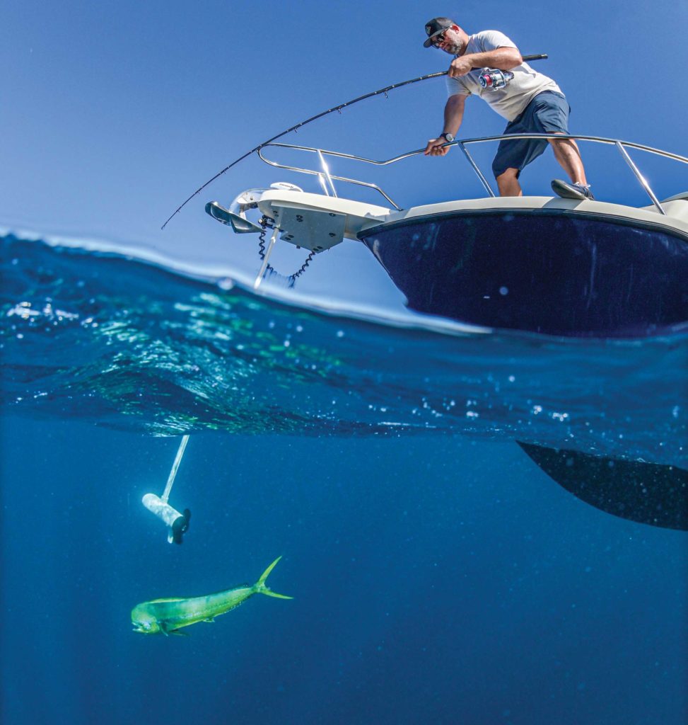 Chasing mahi using a trolling motor