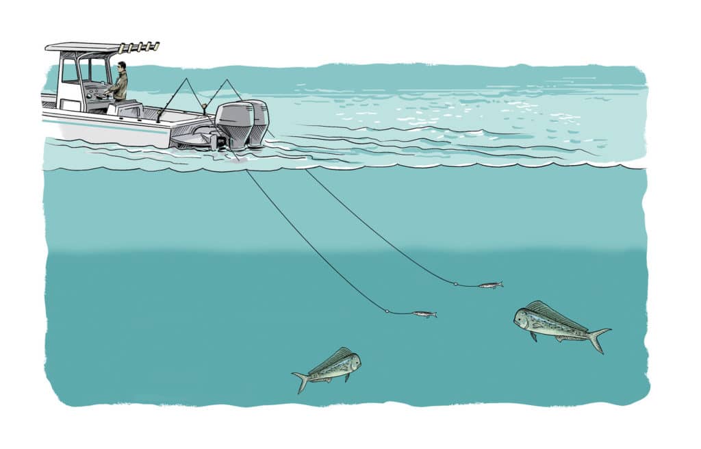 Using temperature differentials to find fish results in angling success