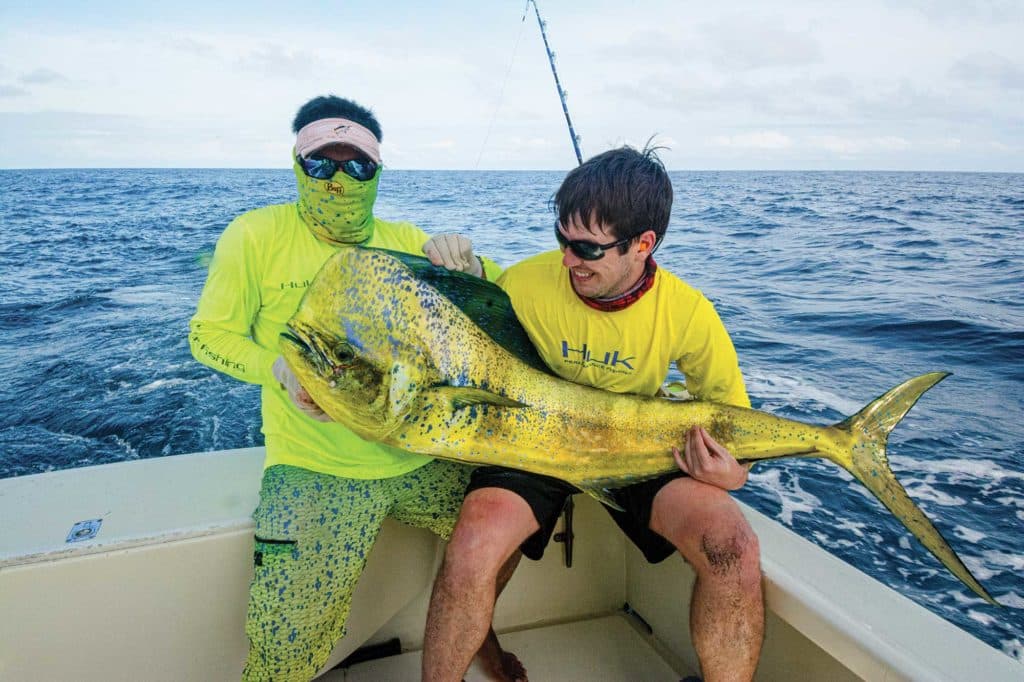 Bull dolphin on the boat