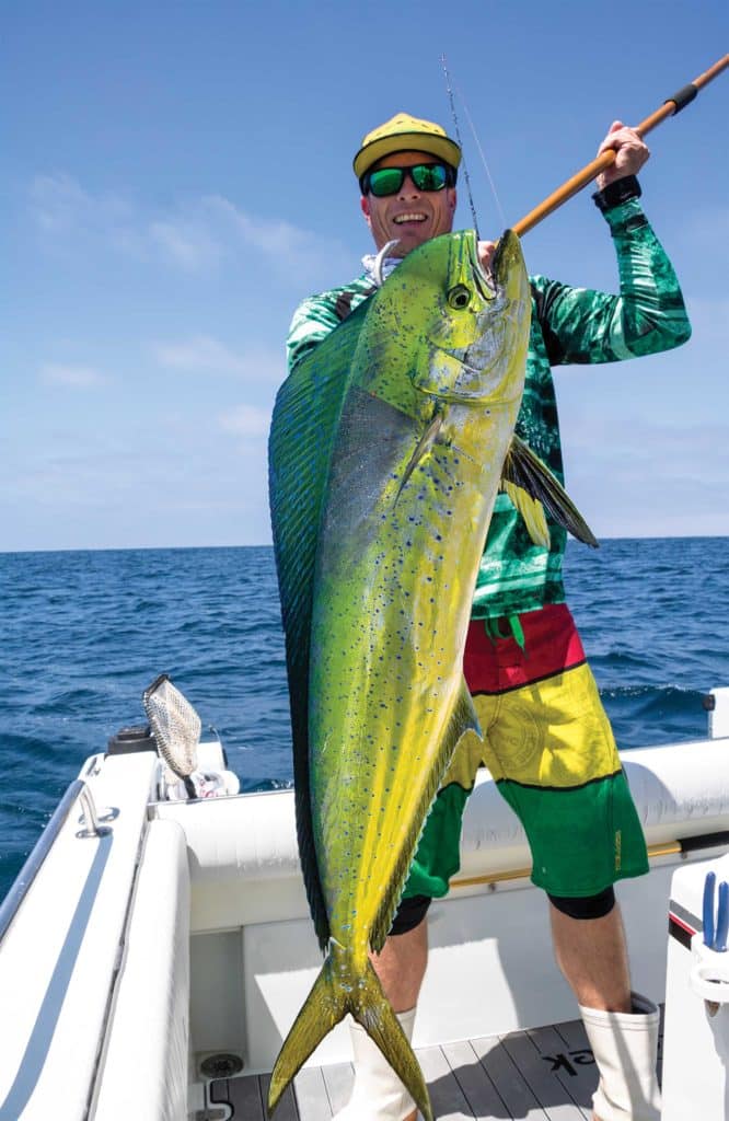 Gaffing a large dolphin