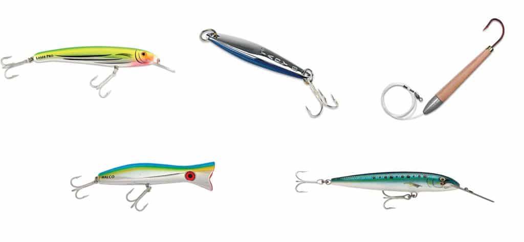 Dolphin lures