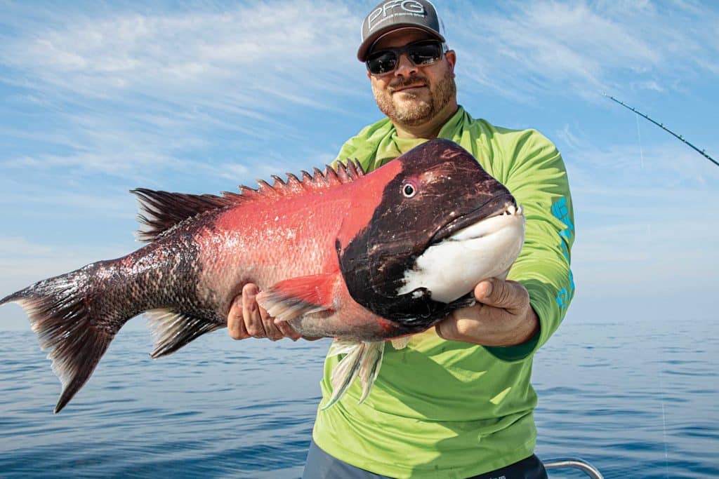 California sheephead caught using the drift method