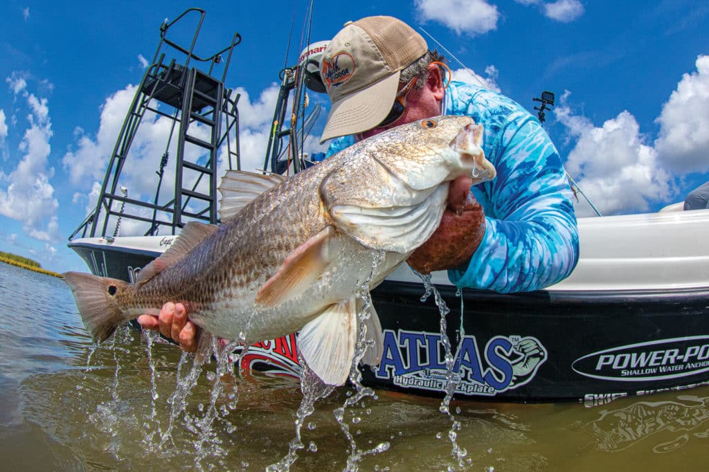 Large redfish brought boatside