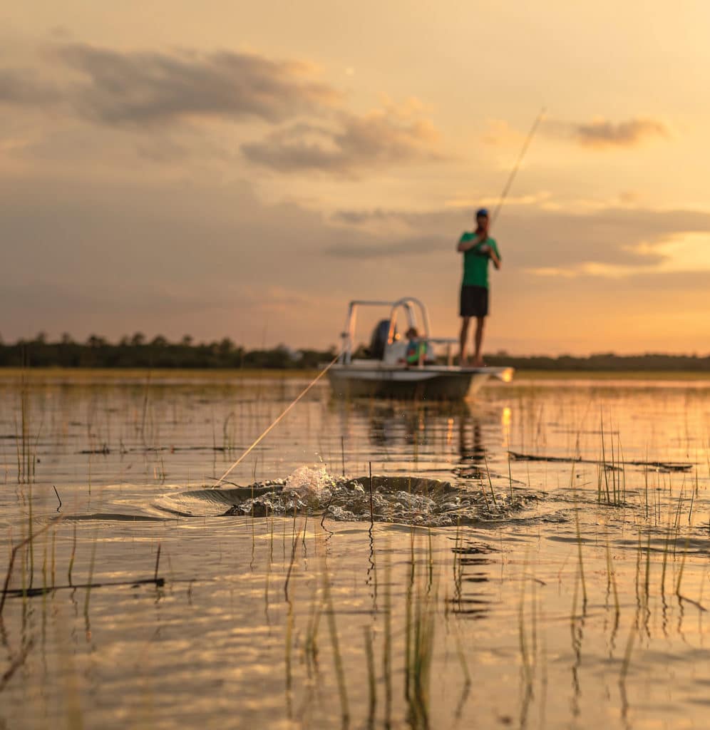 Redfish tailing in the grass