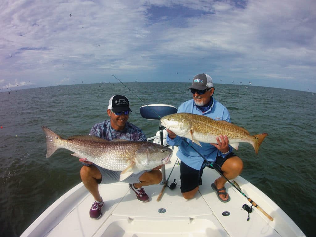 Two bull redfish caught at once