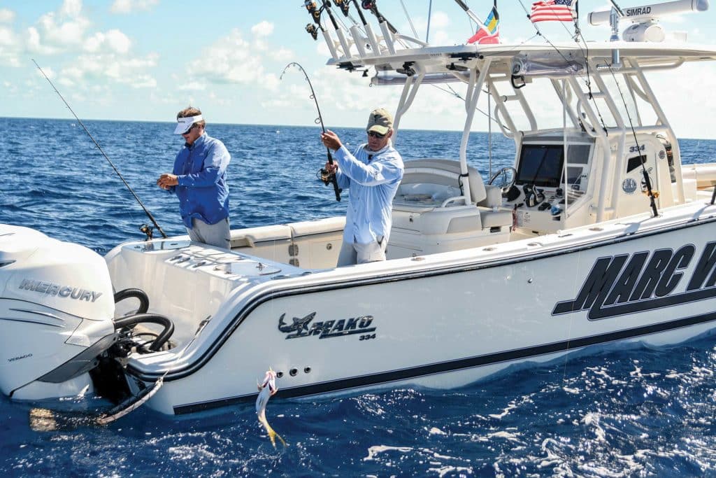 Big yellowtail snapper caught in the Bahamas