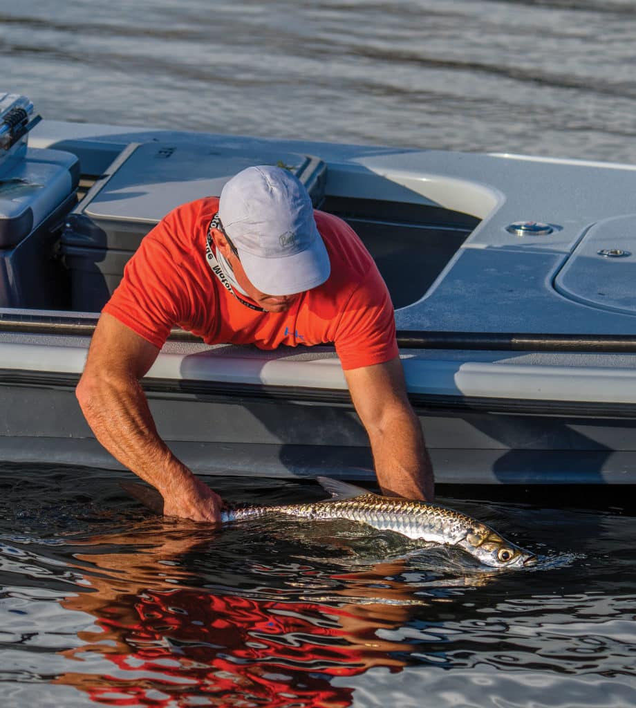 Handling a tarpon carefully