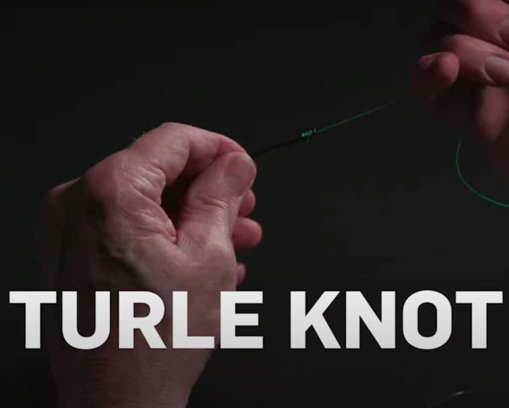 How to Tie a Turle Knot