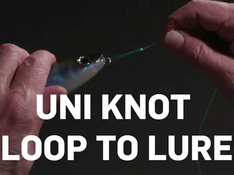 Learn how to tie a Uni-Knot Loop to a Lure