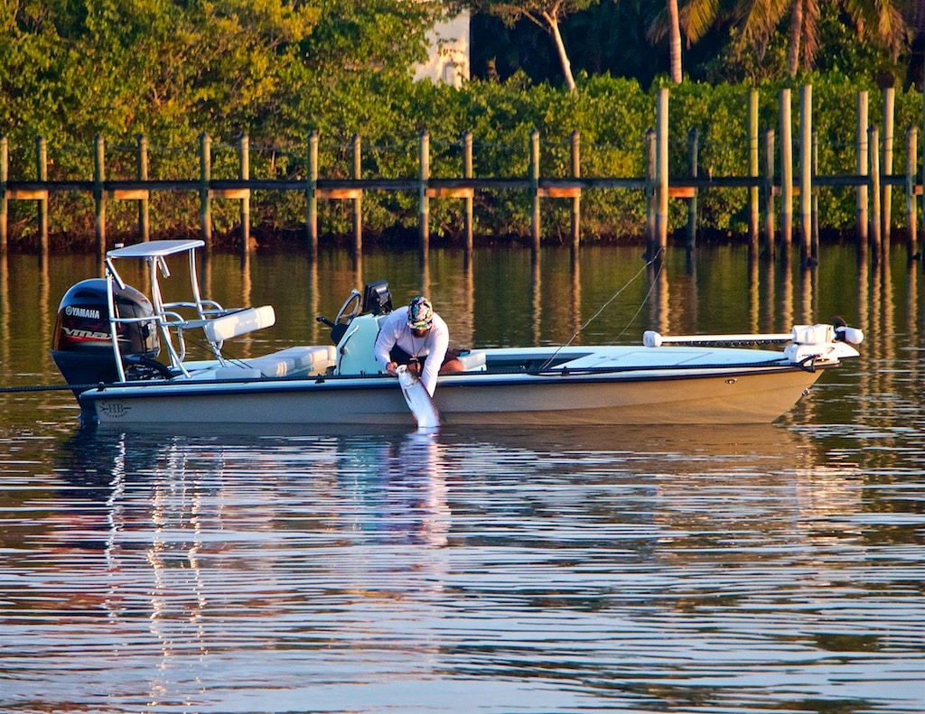 Landing a baby tarpon