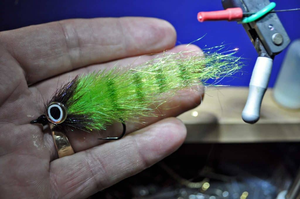 Tarpon fly with baitfish pattern