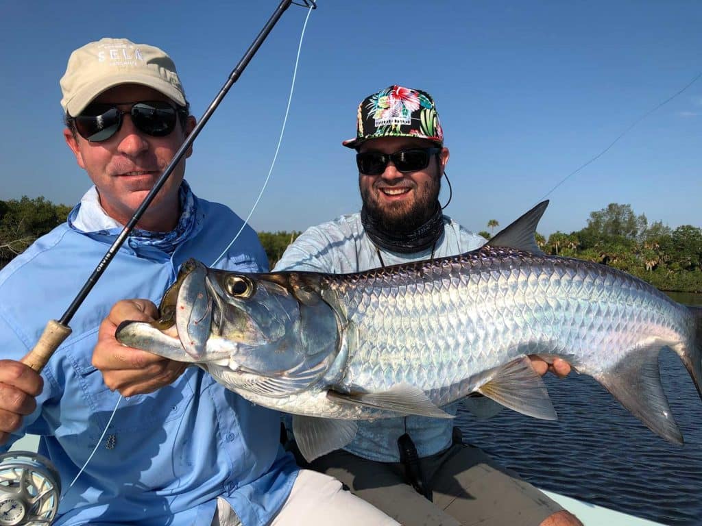 Tarpon caught in brackish water