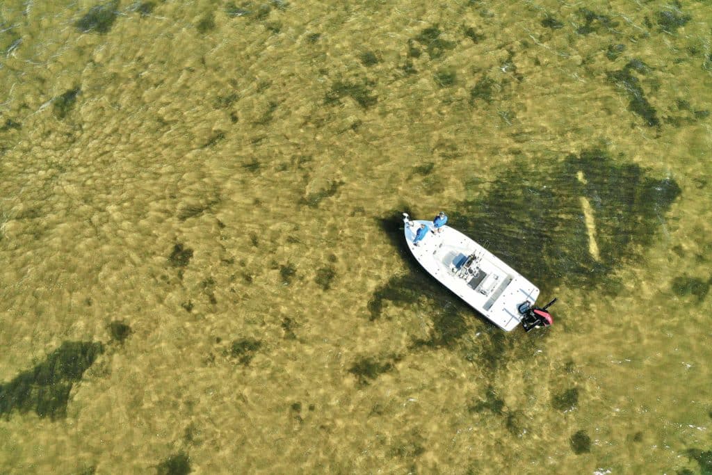 Scouting for fish on Biscayne Bay flats