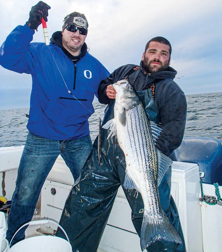 Nice striped bass held up on a boat