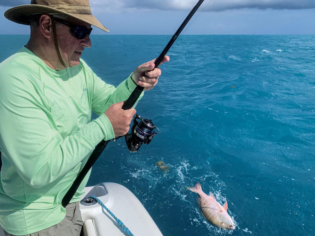 Mutton snapper caught on a reef