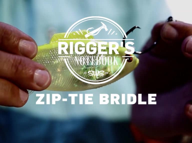 How to Rig a Zip-Tie Bridle for Live Bait