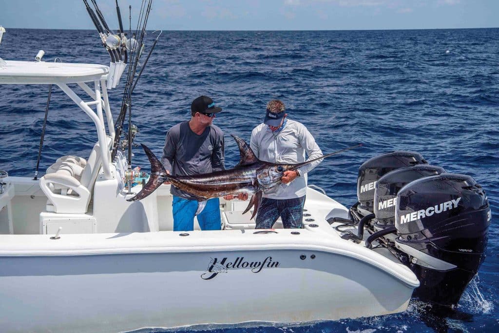 Swordfish caught in the daytime