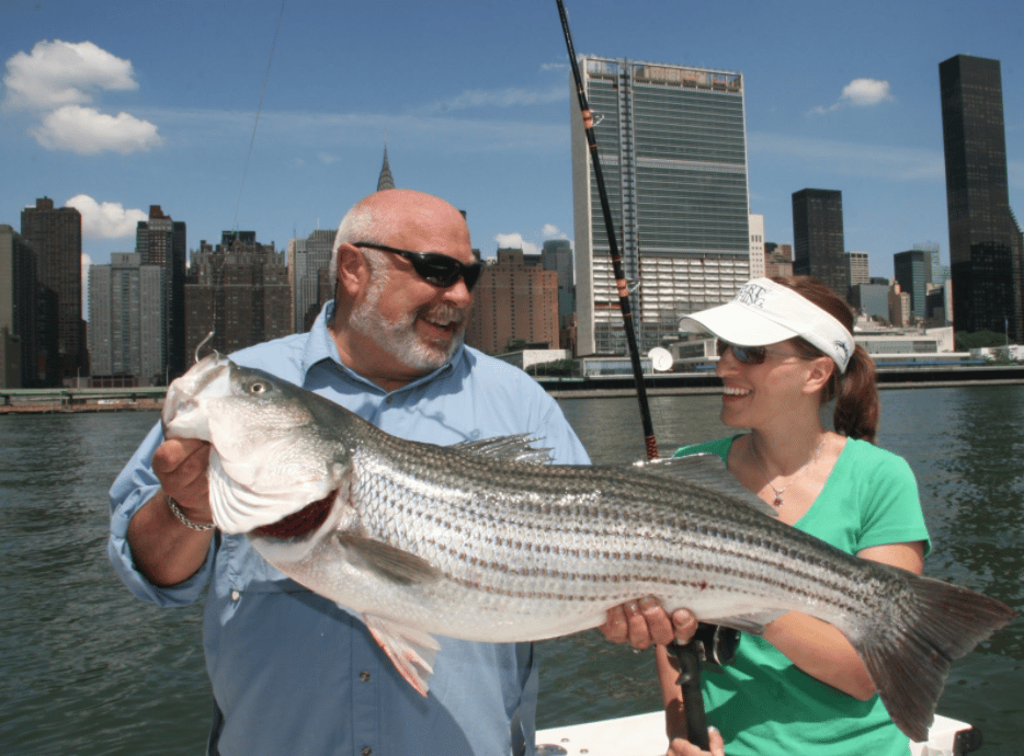 Holding up a nice striped bass at the city waterfront