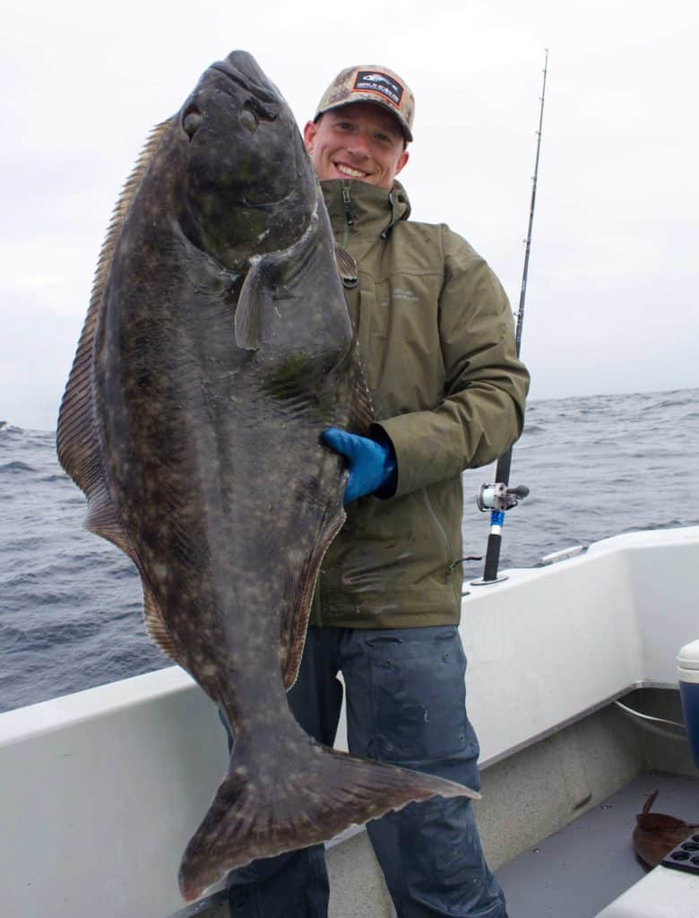 Angler holding a large halibut