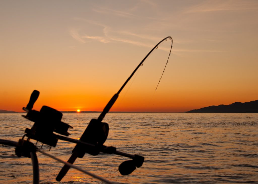 Fishing at sunset