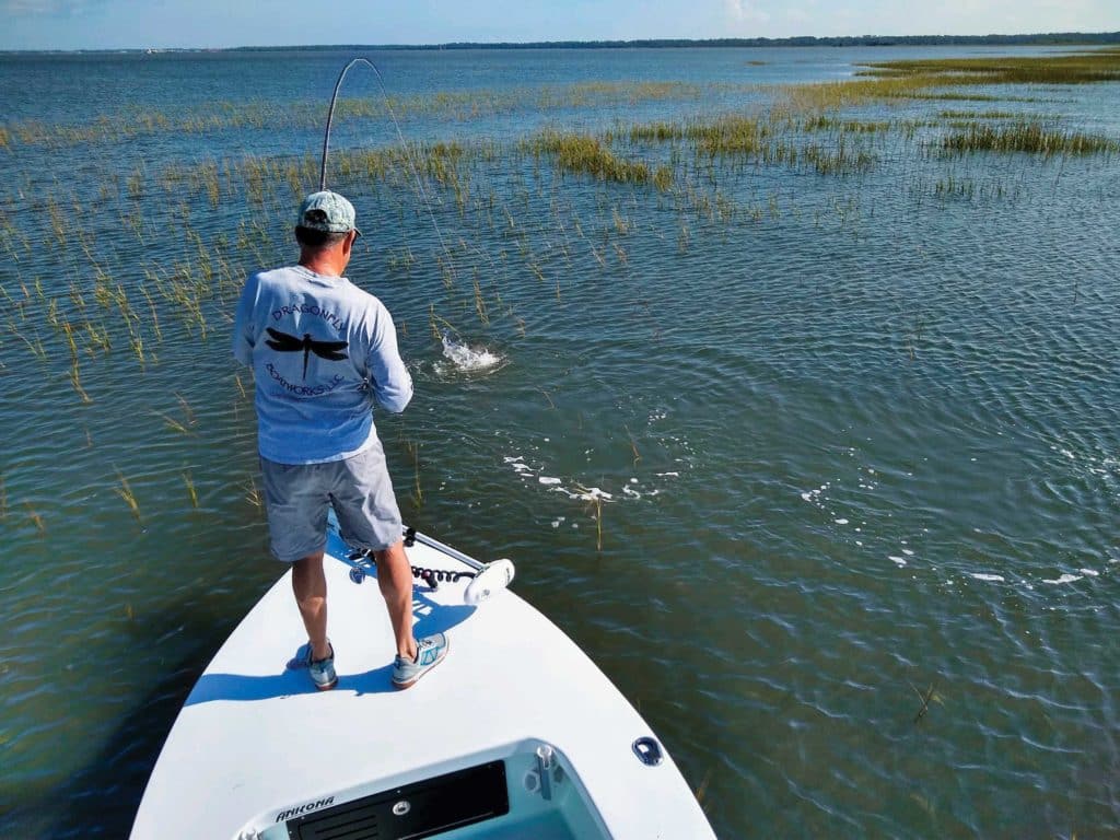 Flooded spartina marsh