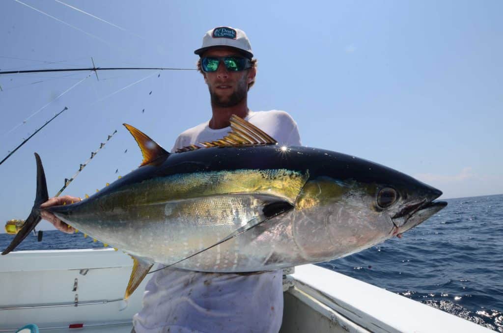 Large yellowfin tuna caught off North Carolina