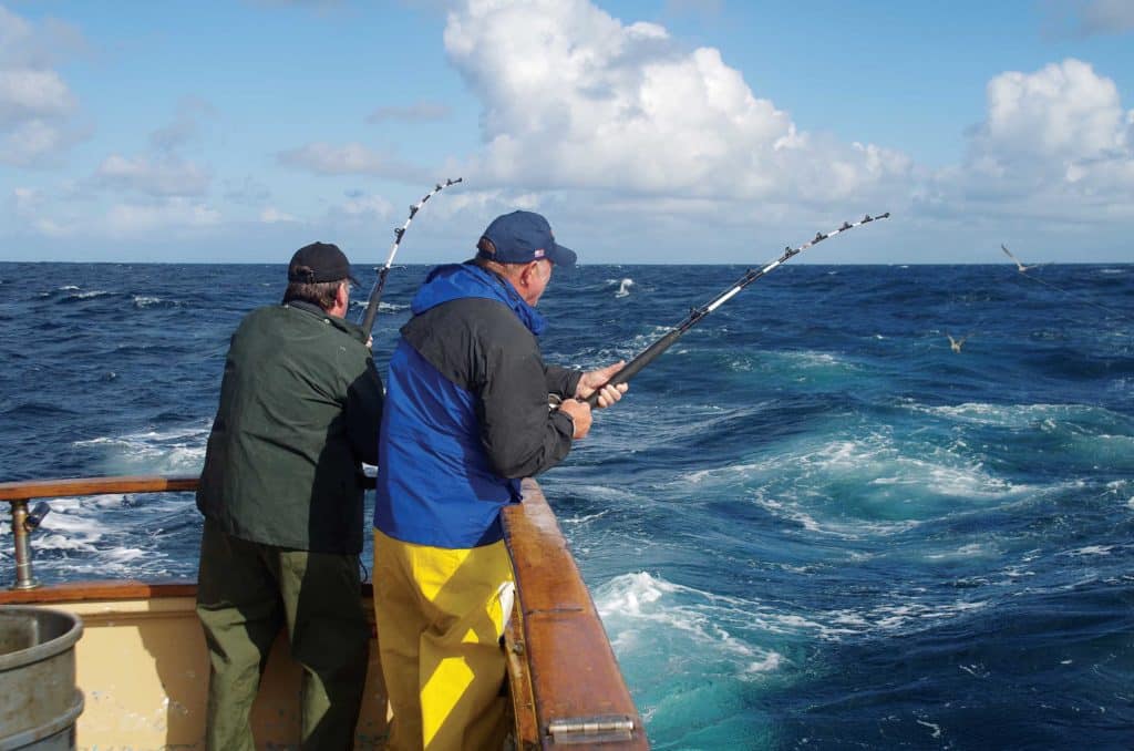 Two albacore caught at the same time