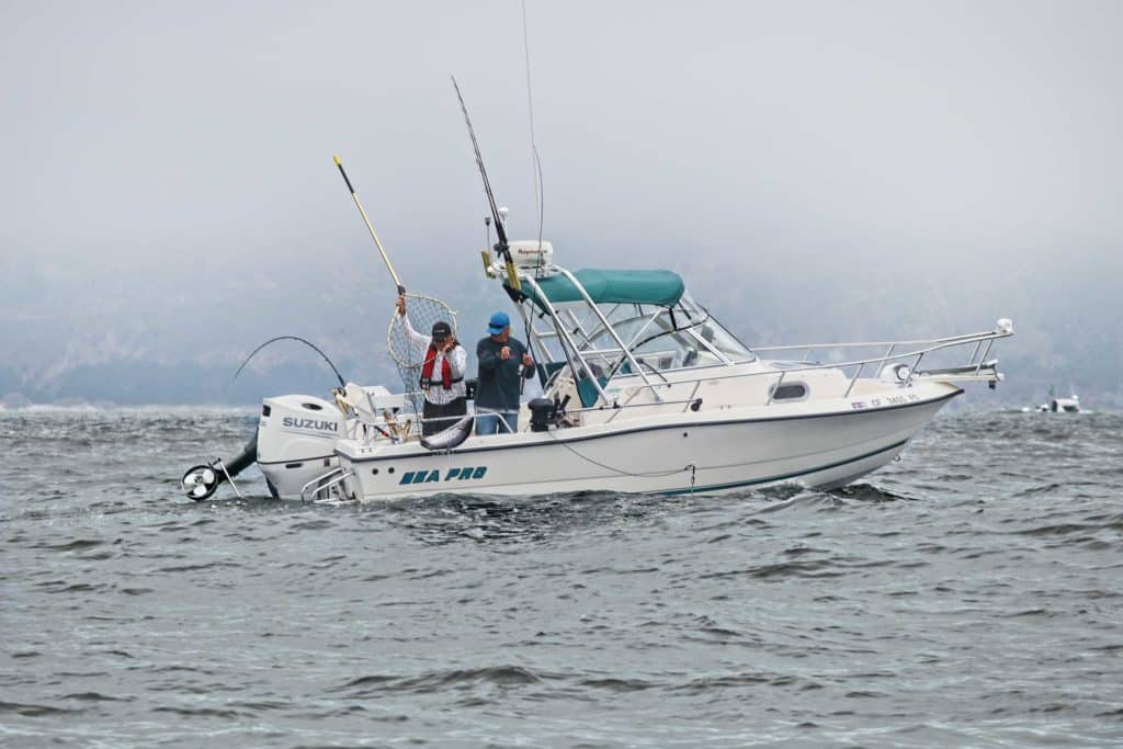 Large salmon in the landing net off Northern California