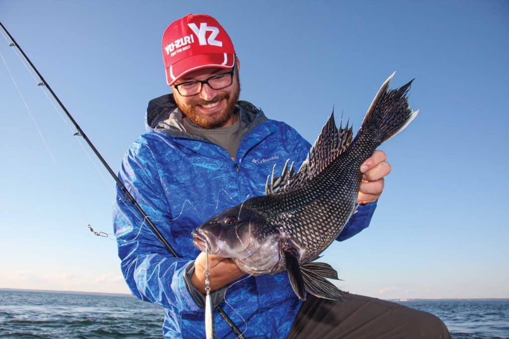Black sea bass caught on a jig