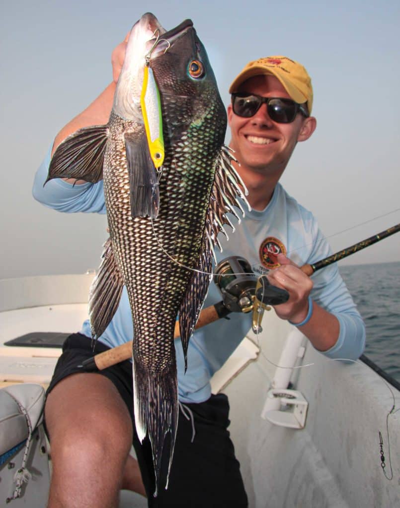 Black sea bass caught on light tackle