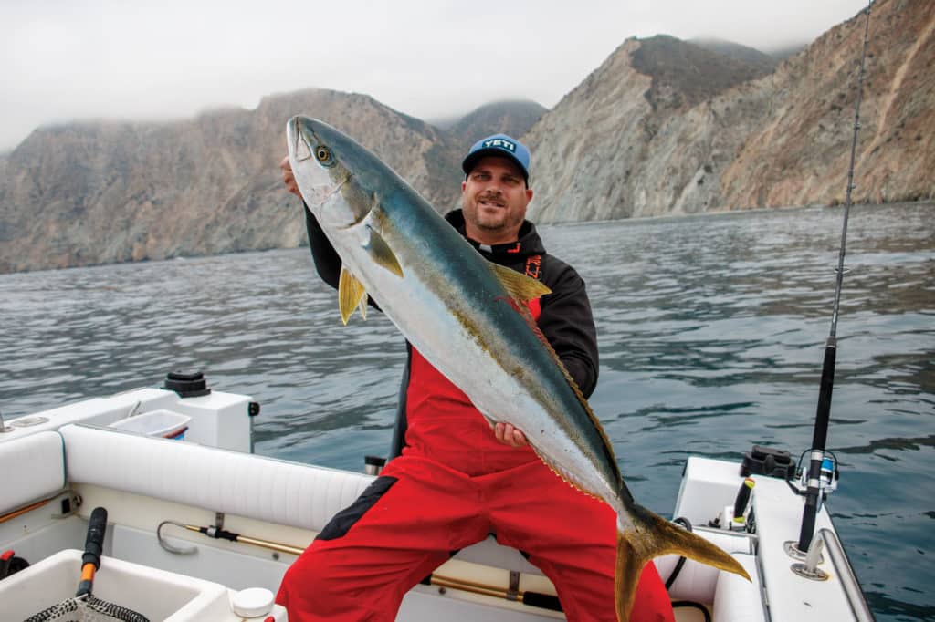 Large yellowtail caught in California