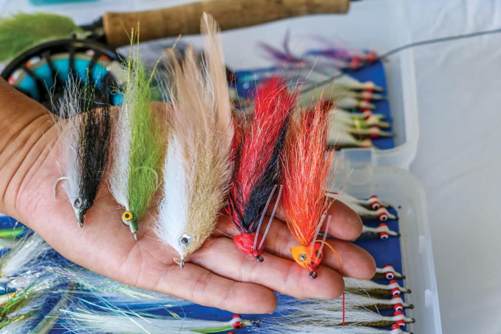 Fly assortment for fishing Catalina Island