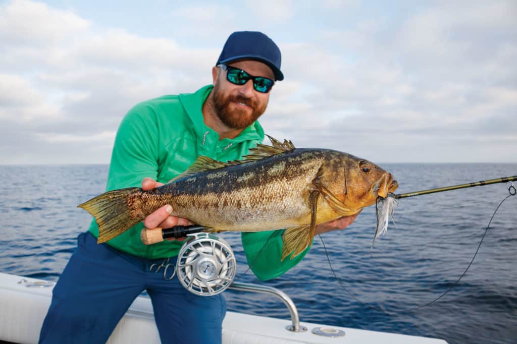 Calico bass caught off Catalina Island