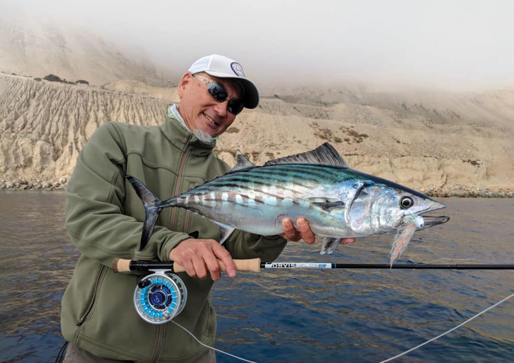 Bonito caught near Catalina