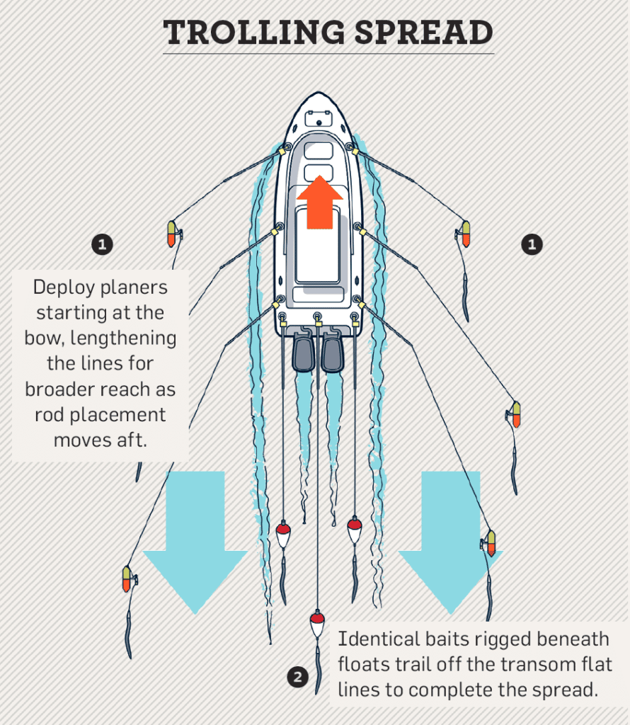 Trolling spread for catching striped bass