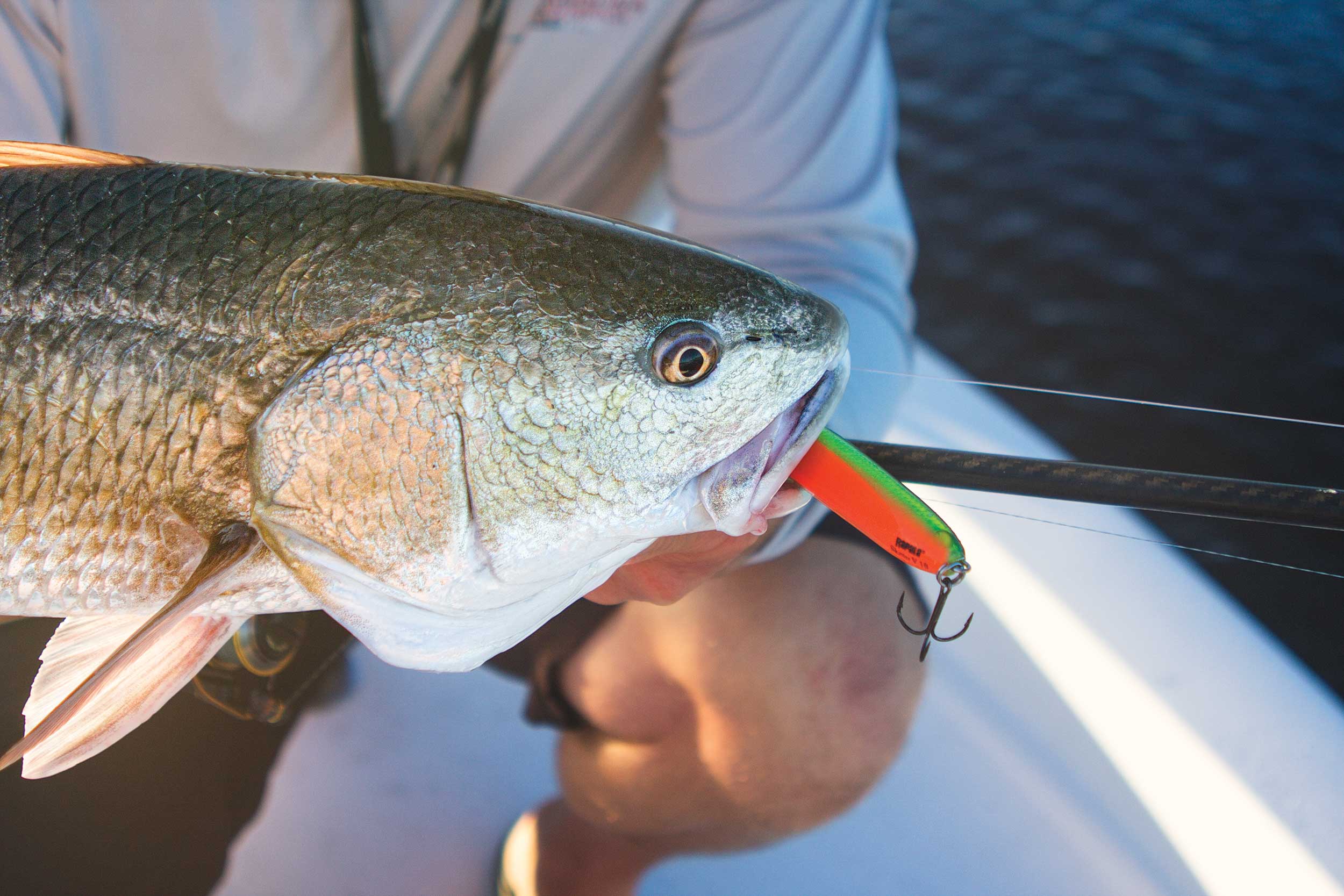 Catching Redfish On Topwater Lures