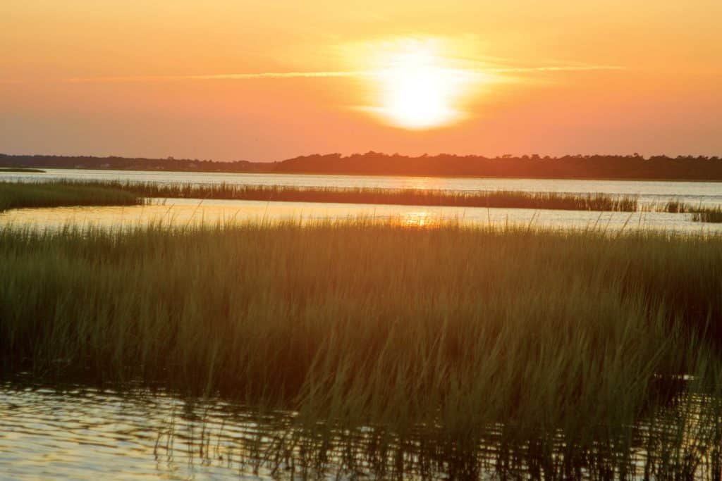 Fishing grass beds at sunrise