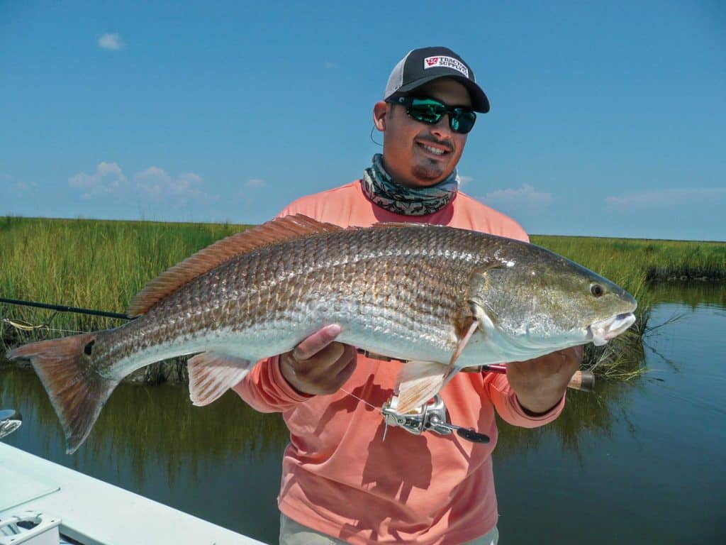 Large redfish caught in the marsh