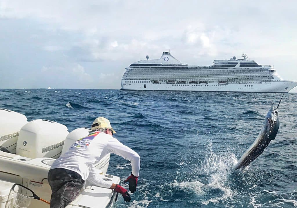 Sailfish caught near a cruise ship