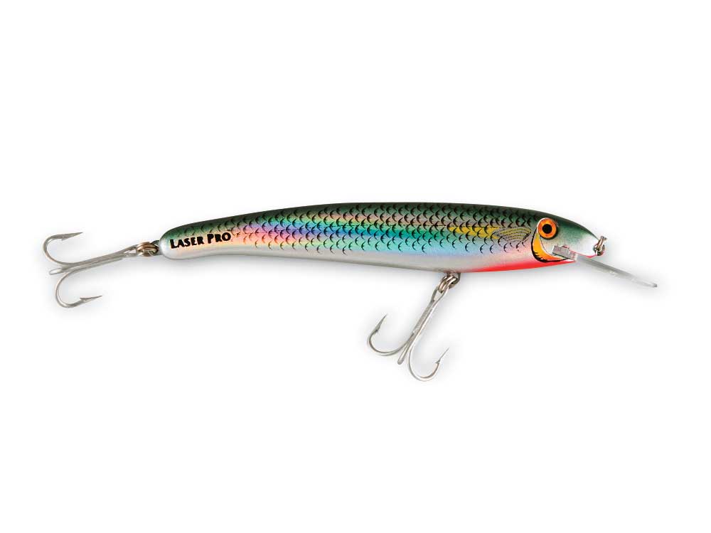 Halco lure used when fishing for wahoo