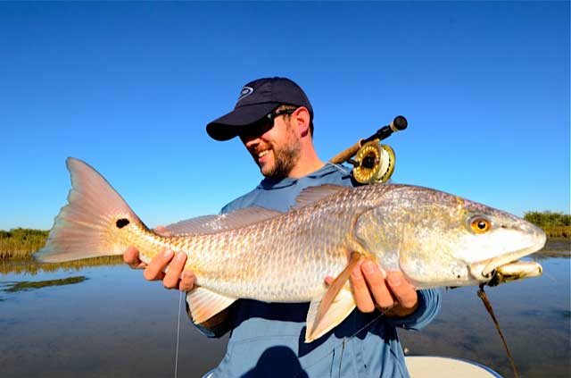 Redfish on fly
