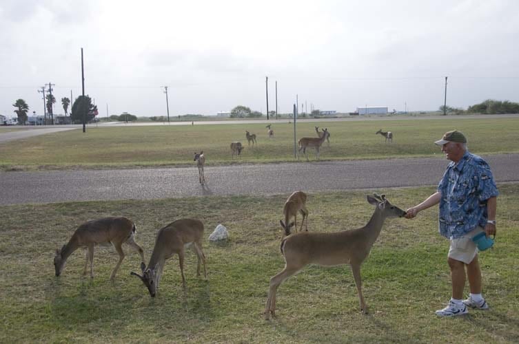 Fishing Texas