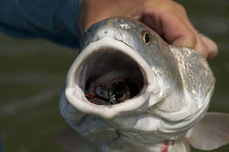 Fishing Texas